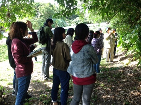 勝連城の植生観察