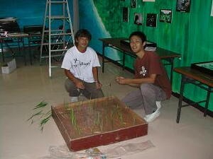 博物館実習の様子