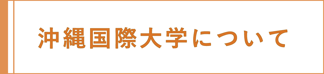 沖縄国際大学について