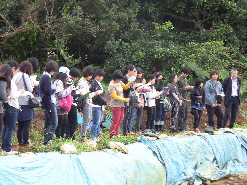 大里城址発掘調査