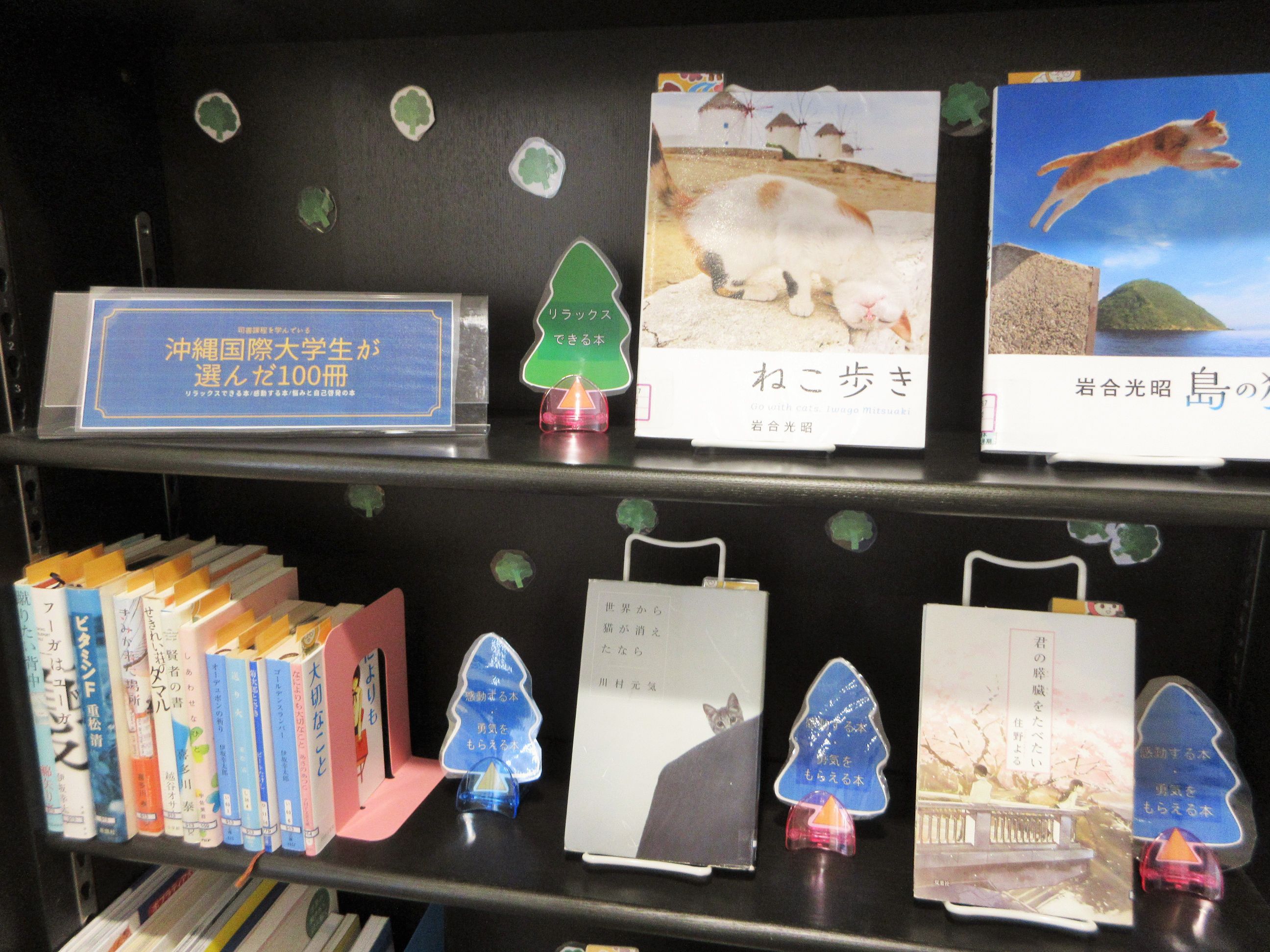 患者さんへの図書サ-ビスハンドブック/大活字/全国患者図書サ-ビス連絡会（単行本） 患者さん説明用サポートツール