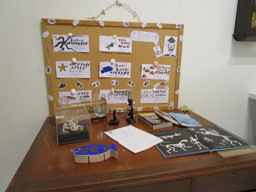 子どもが楽しく学べる干潟の生きものについての展示