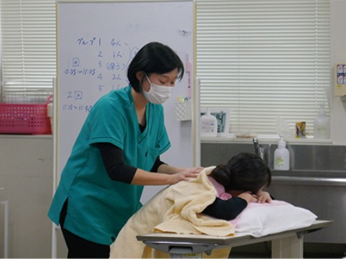 聖泉大学 オープンキャンパス 看護 看護学部