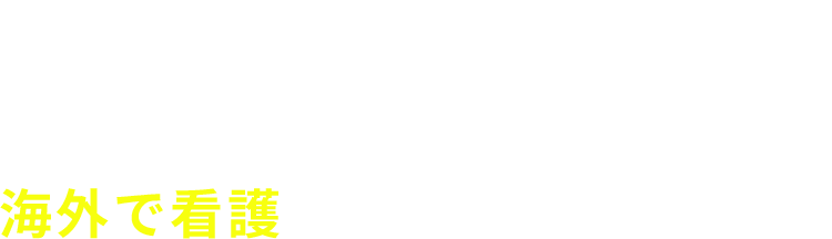 海外研修枠