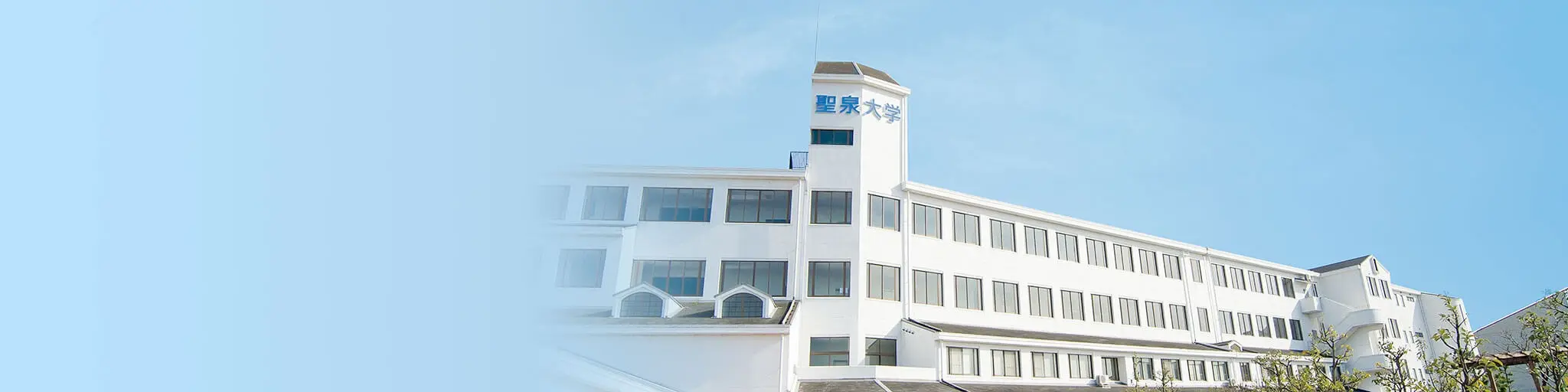 大学案内