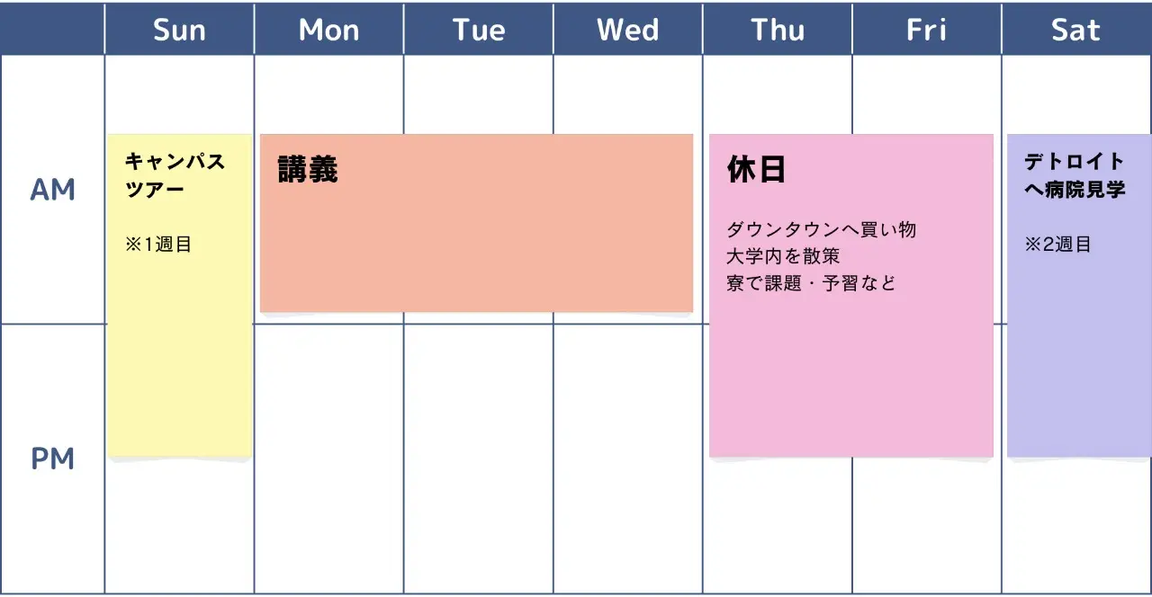 現地でのスケジュール