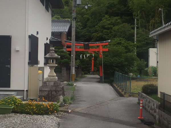 通りから少し入ると神社があります