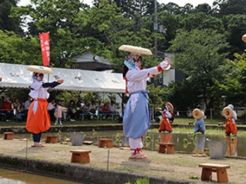 聖泉大学　別科助産専攻　多賀大社　御田植祭