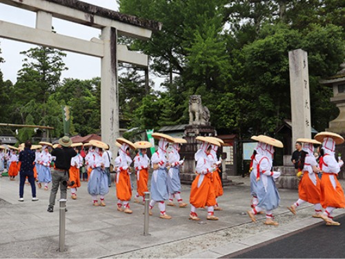 聖泉大学 別科助産専攻 多賀大社 御田植祭