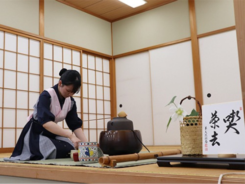 聖泉大学　看護学部　茶道部