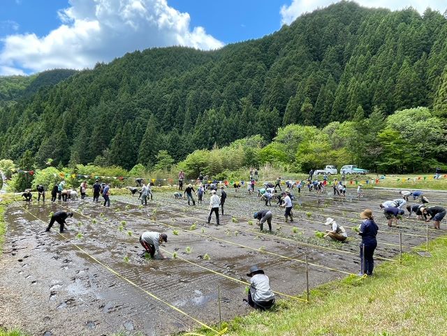 田植え風景