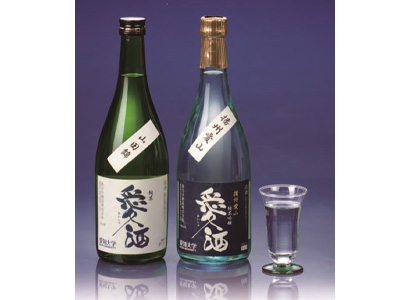 サンプル画像