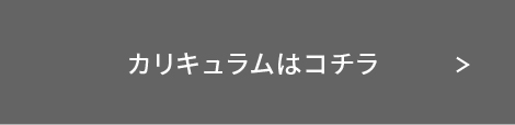 カリキュラムはコチラ