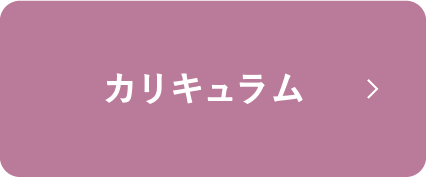 カリキュラム