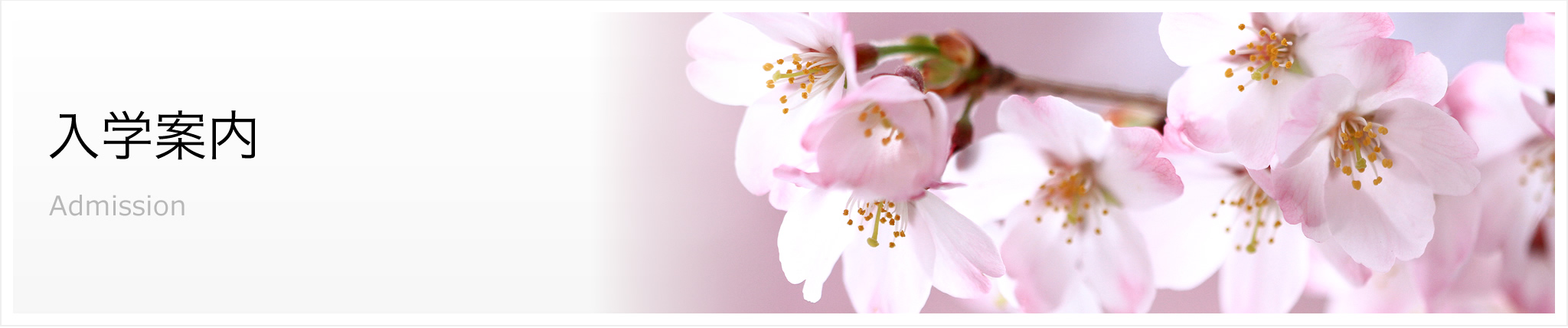 入学案内