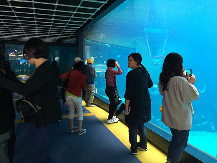 高等課程 交流会