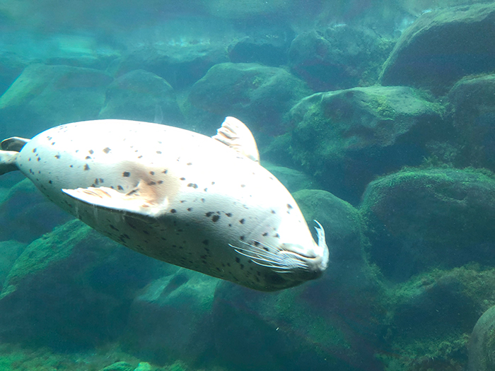 交流会を行いました!