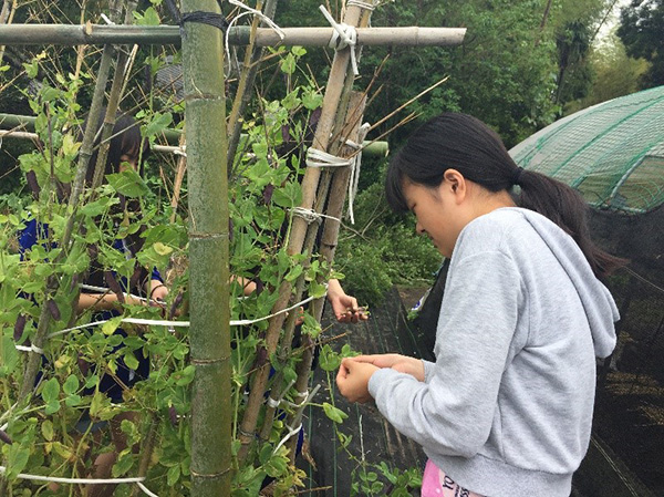 高等課程 修学旅行