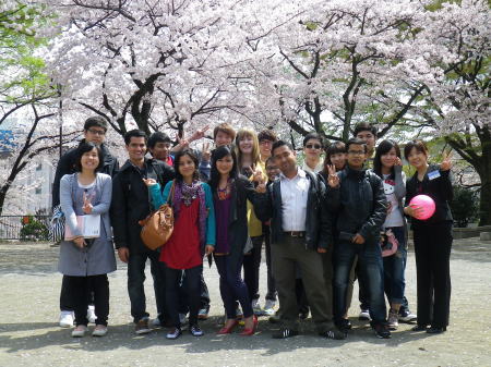 春到来、お花見(去年度)